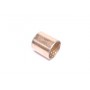 Палец тормозной колодки SB100016 AXUT