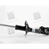 Передні амортизатори 17-104029 BILSTEIN