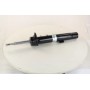 Передні амортизатори 22-136572 BILSTEIN