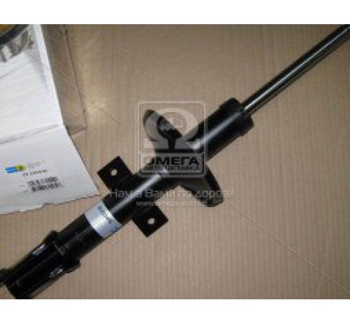 Передні амортизатори 22-223470 BILSTEIN