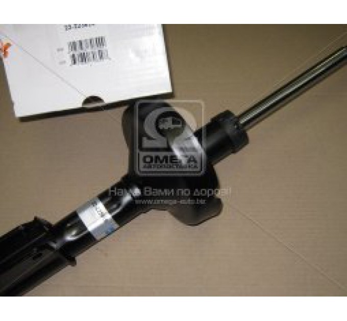 Передні амортизатори 22-223616 BILSTEIN