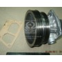 Помпа S216 DOLZ