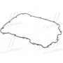 Прокладка кришки клапанів двигуна 246.160 Elring