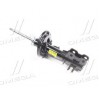 Передні амортизатори 95353836 GM (CHEVROLET/DAEWOO/OPEL)