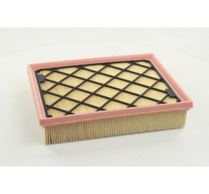 Повітряний фільтр C25008/1 MANN-FILTER
