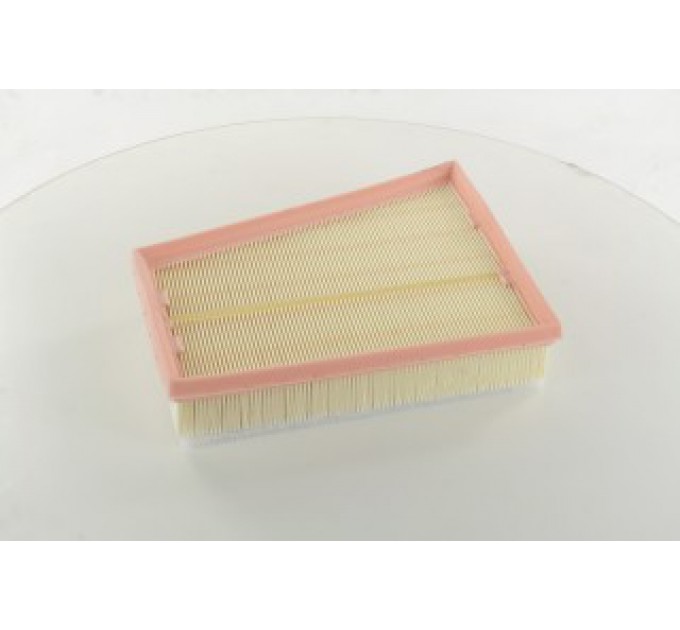 Повітряний фільтр C2510/1 MANN-FILTER