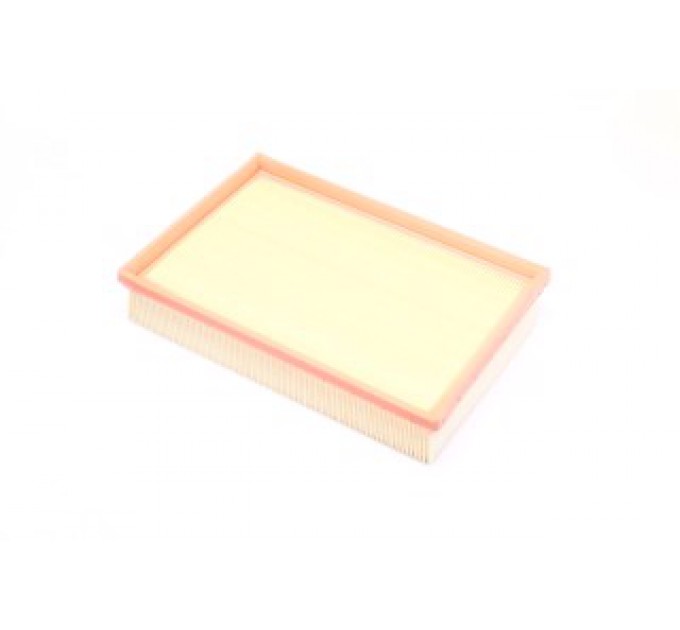 Повітряний фільтр C25101/1 MANN-FILTER