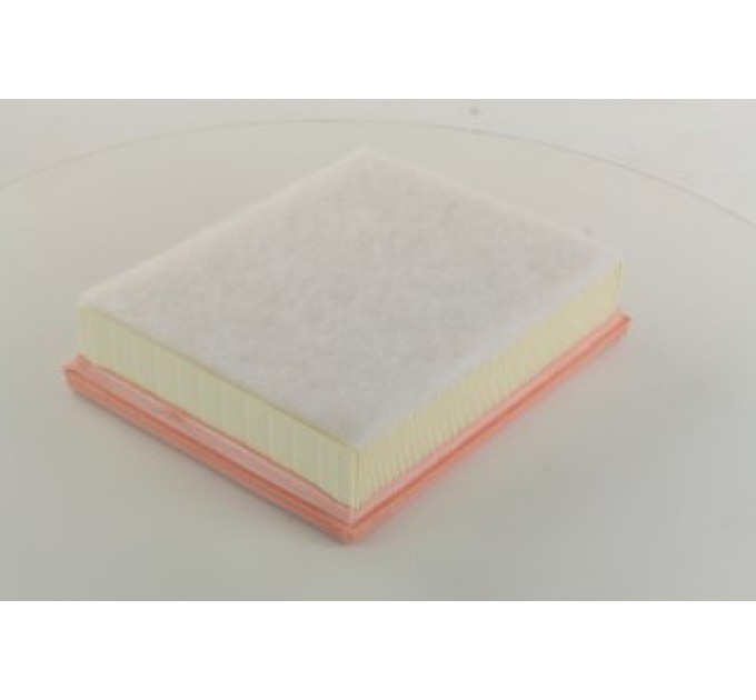 Повітряний фільтр C25109/1 MANN-FILTER