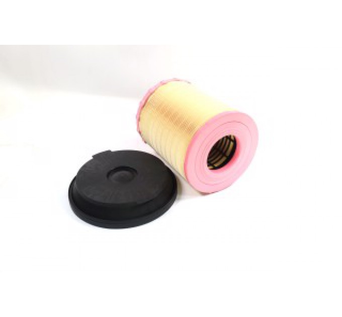 Повітряний фільтр C29010 KIT MANN-FILTER