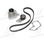 Комплект помпа с ремнем 132011160041 MagnetiMarelli