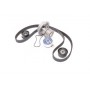 Комплект помпа с ремнем 30-0572-1 Metelli