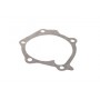 Прокладка водяного насоса P1H-A011 PARTS MALL