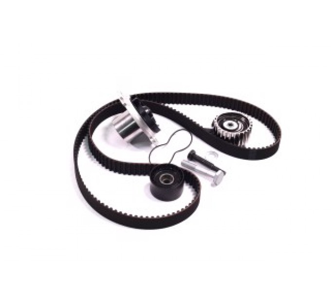 Комплект помпа з ременем 530 0622 30 SCHAEFFLER GRUPPE