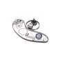 Комплект помпа с ремнем VKMC 01121-1 SKF