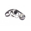 Комплект помпа з ременем VKMC 01250-1 SKF