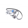 Комплект помпа с ремнем VKMC 01935 SKF