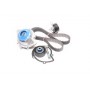 Комплект помпа с ремнем VKMC 03205 SKF