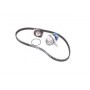 Комплект помпа с ремнем VKMC 03254 SKF