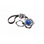 Комплект помпа с ремнем VKMC 06129 SKF