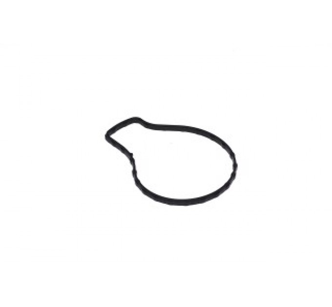 Прокладка водяної помпи 1627137010 TOYOTA/LEXUS/DAIHATSU/HINO