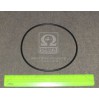 Прокладка топливного насоса 7716948060 TOYOTA/LEXUS/DAIHATSU/HINO
