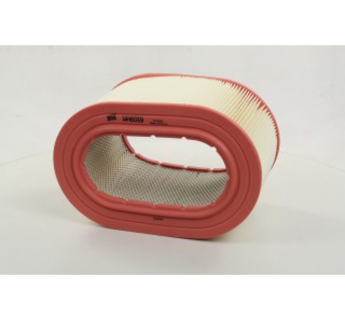 Воздушный фильтр WA6019 WIX FILTERS