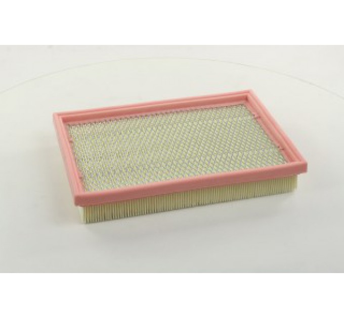 Повітряний фільтр WA6289 WIX FILTERS