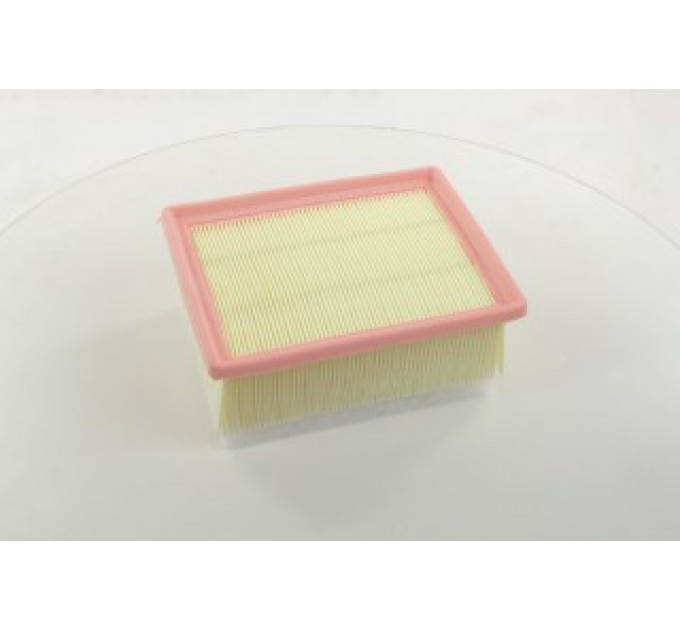 Повітряний фільтр WA9409 WIX FILTERS