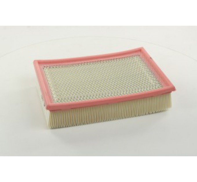 Повітряний фільтр WA9517 WIX FILTERS
