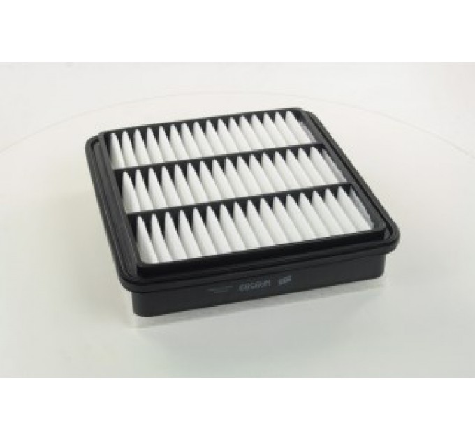 Повітряний фільтр WA9589 WIX FILTERS